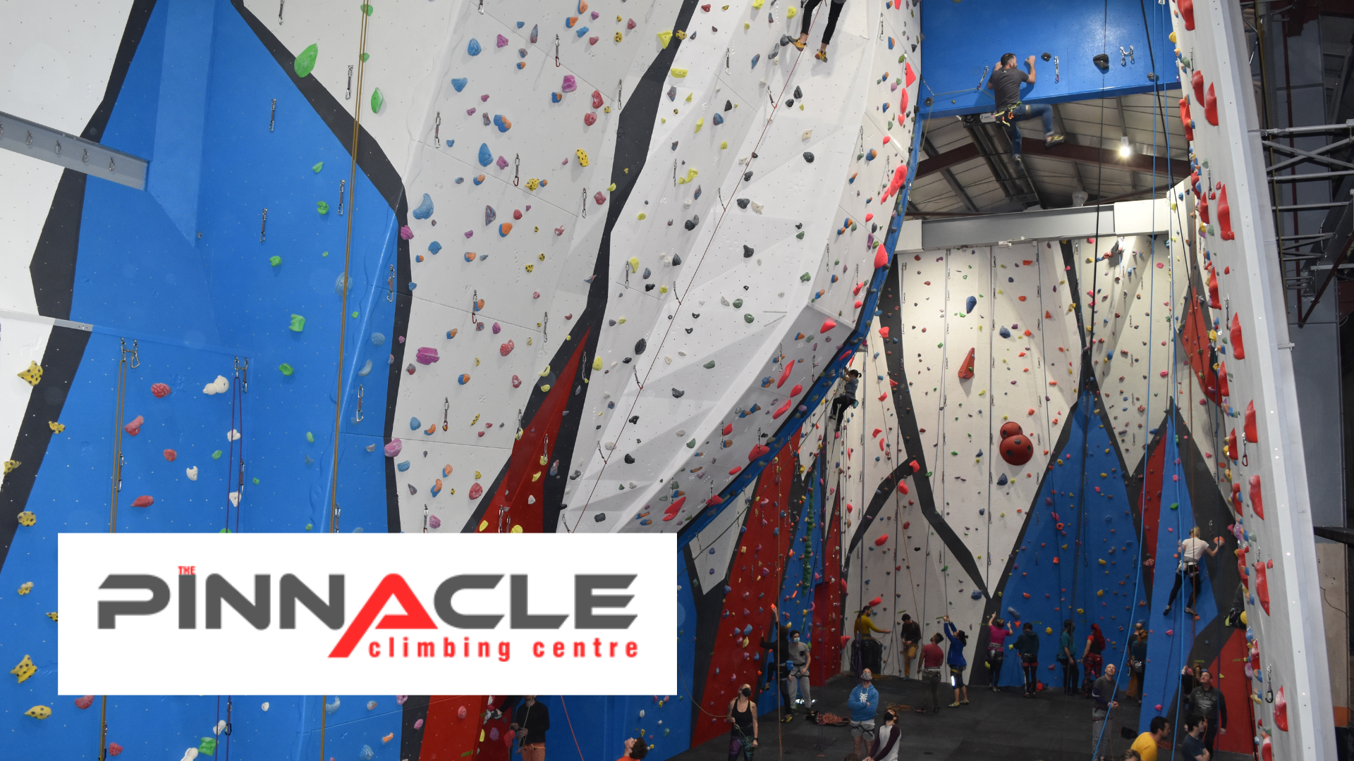 The Heights of Success: Pinnacle Climbing Centre